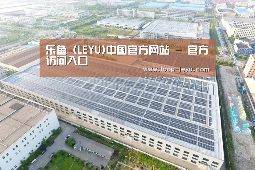 案例展示二