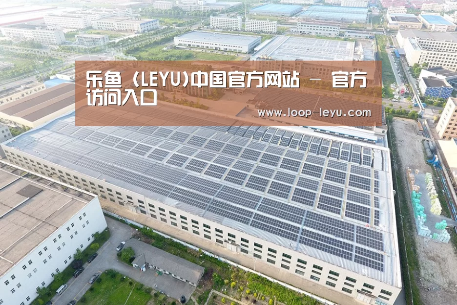 案例展示一