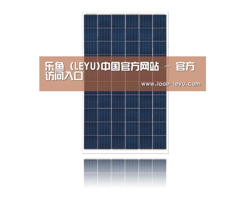 产品名称一
