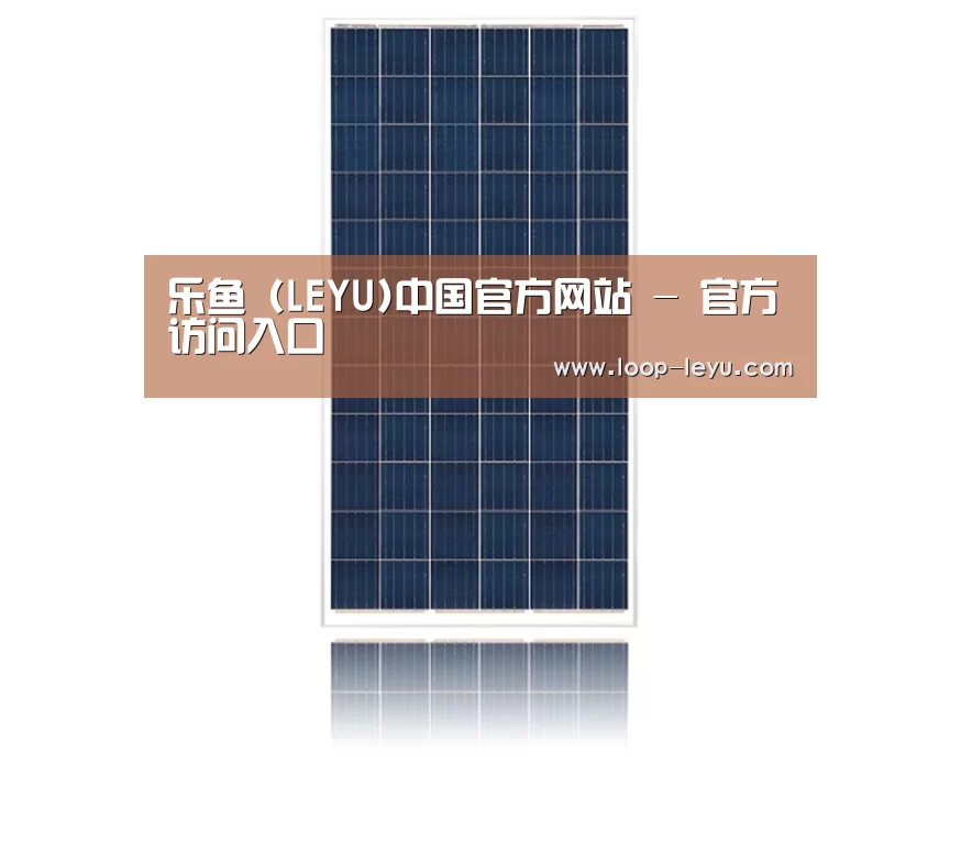 产品名称一
