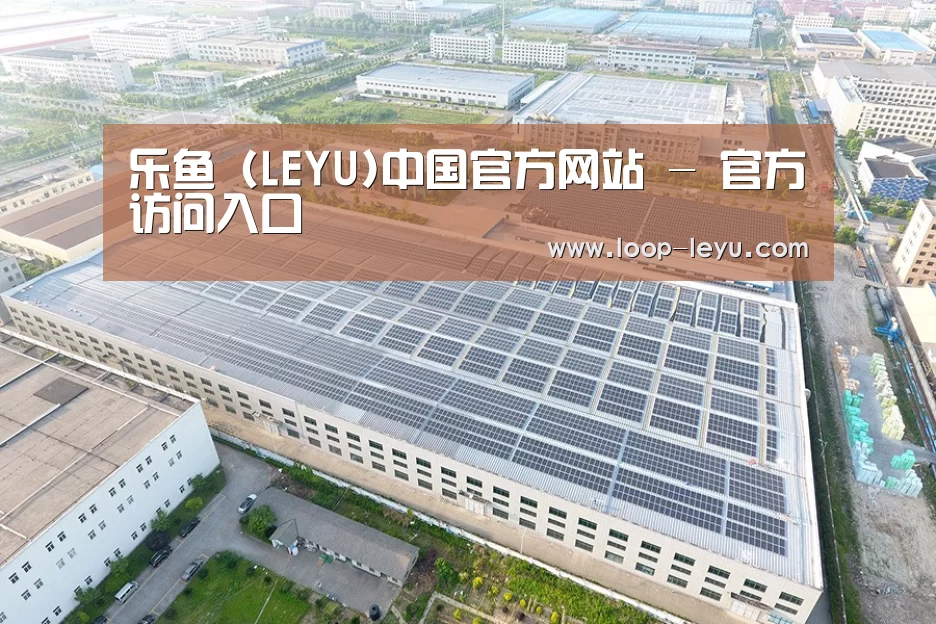 案例展示三
