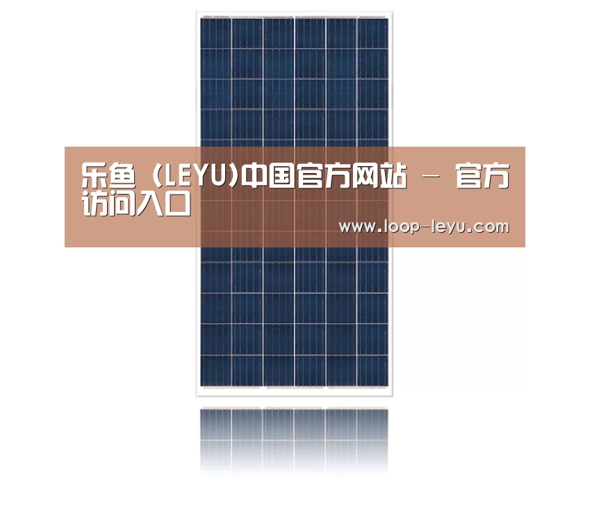 产品名称一
