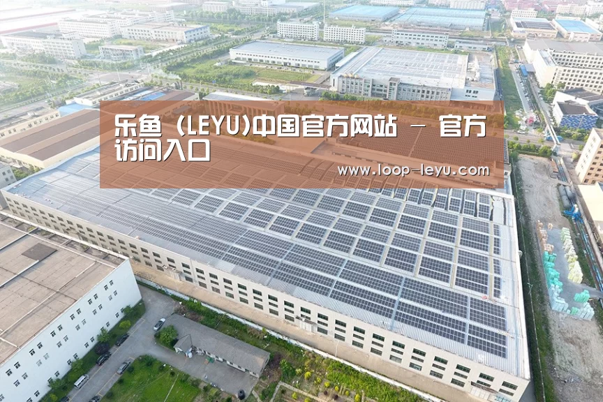 案例展示四