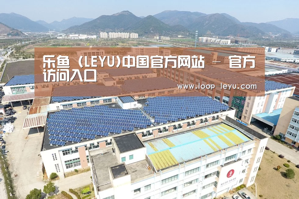 案例展示三