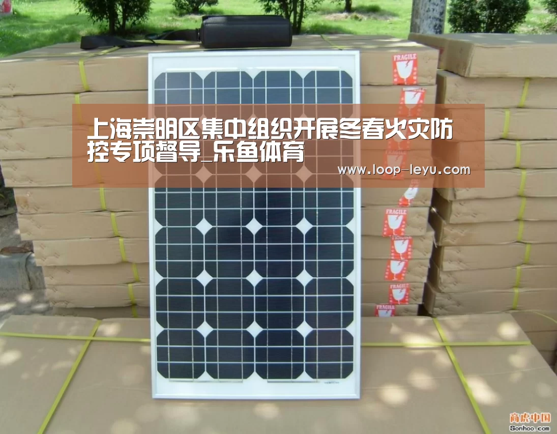 上海崇明区集中组织开展冬春火灾防控专项督导_乐鱼体育(图1) 乐鱼体育APP