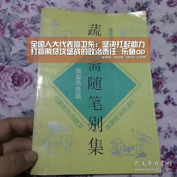 乐鱼体育APP