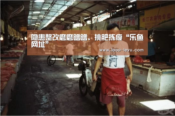 乐鱼体育