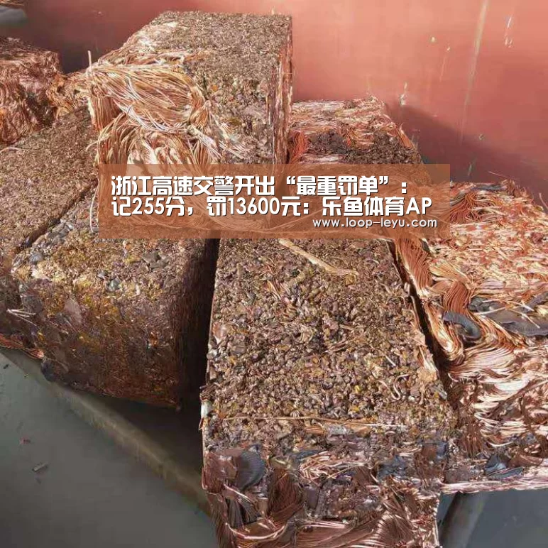 乐鱼体育APP