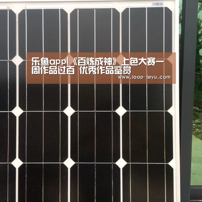乐鱼网址