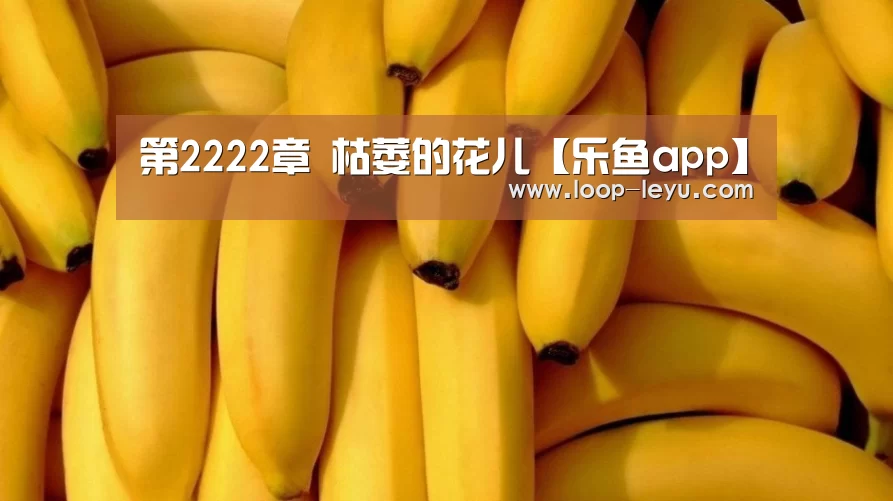 乐鱼体育APP